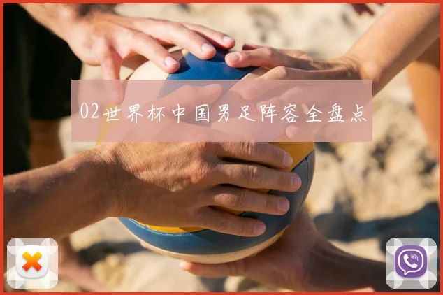 02世界杯中国男足阵容全盘点